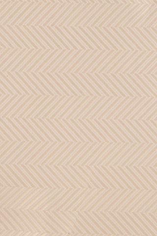 Accessory-pack (Champagne sildeben) suitclub.dk