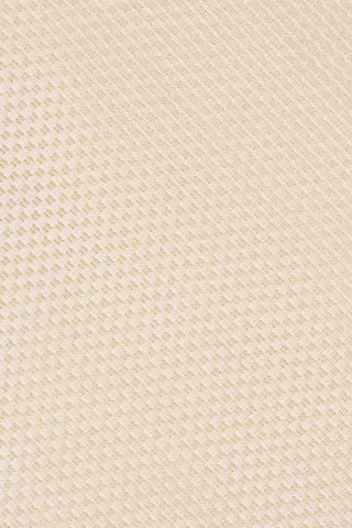 Champagne slips suitclub.dk